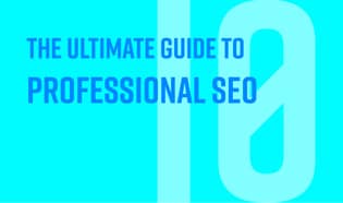 The ultimate guide to professional SEO