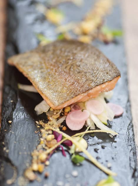 Pan fried salmon on a bed of salad, served on a dark grey slate.