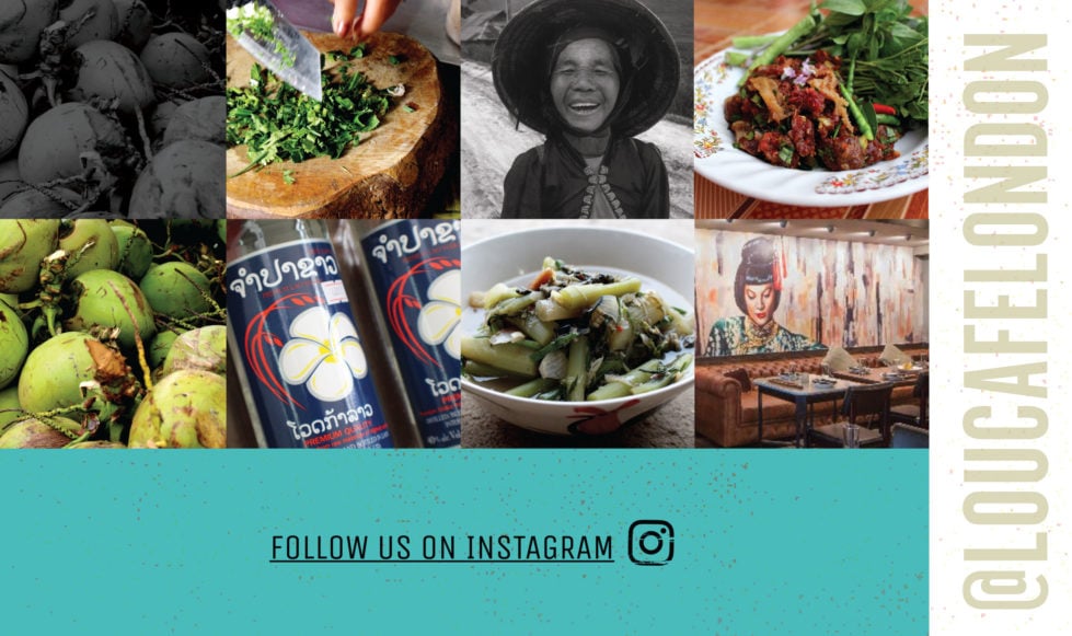 Section of Instagram feed taken from one page website template.