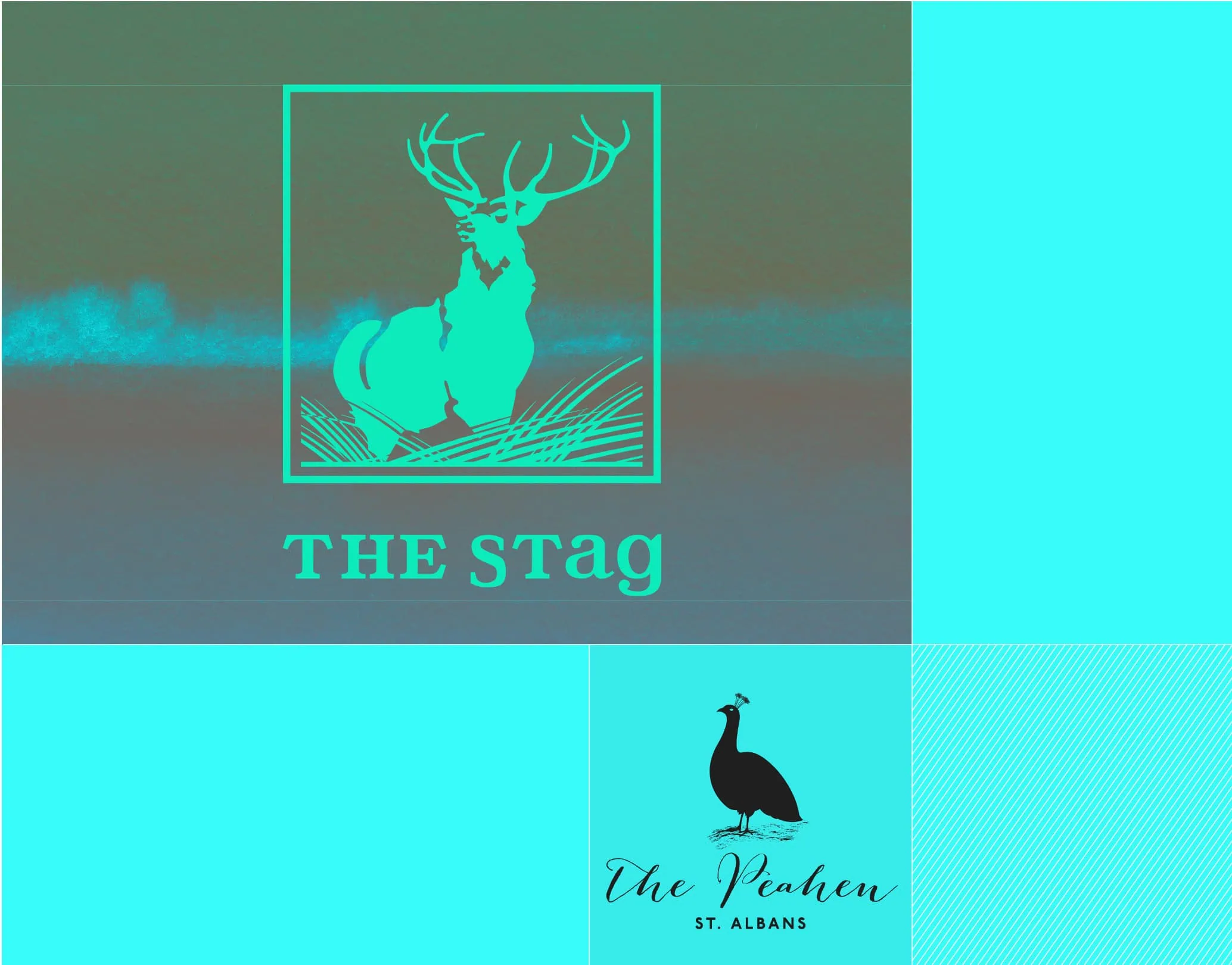 Colour-block collage with The Stag illustrative logo and The Peahen, St. Albans logo
