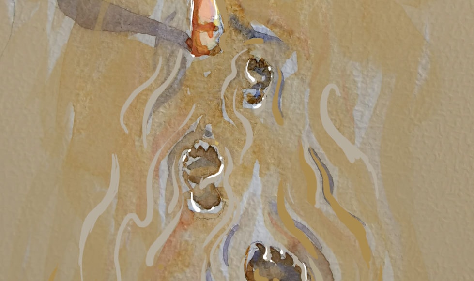 Illustration of footprints in sand
