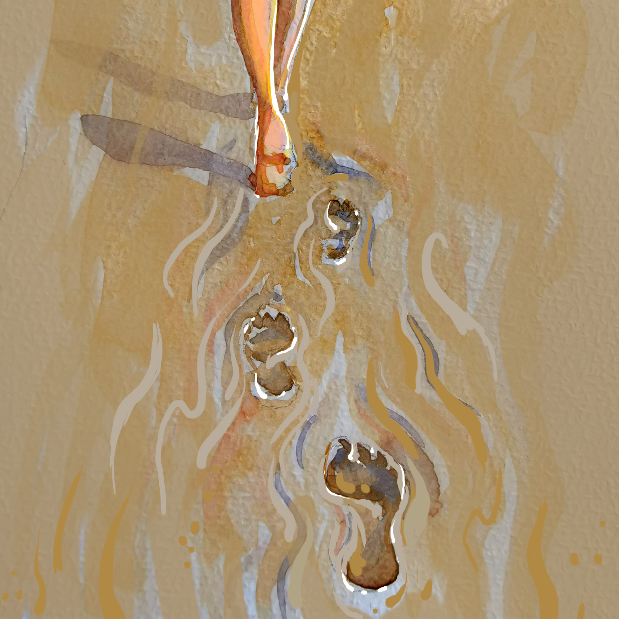 Watercolour illustration of footprints with flowing line details on a warm textured background