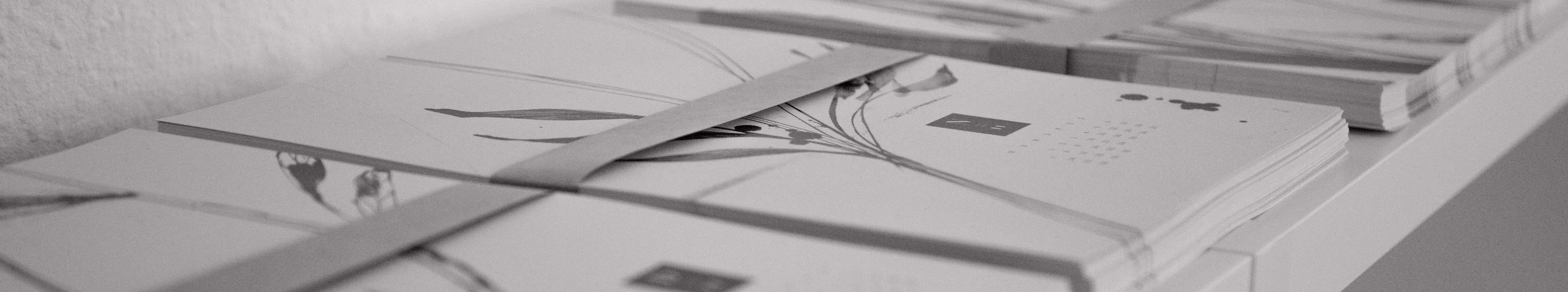 Brochures laid out on table