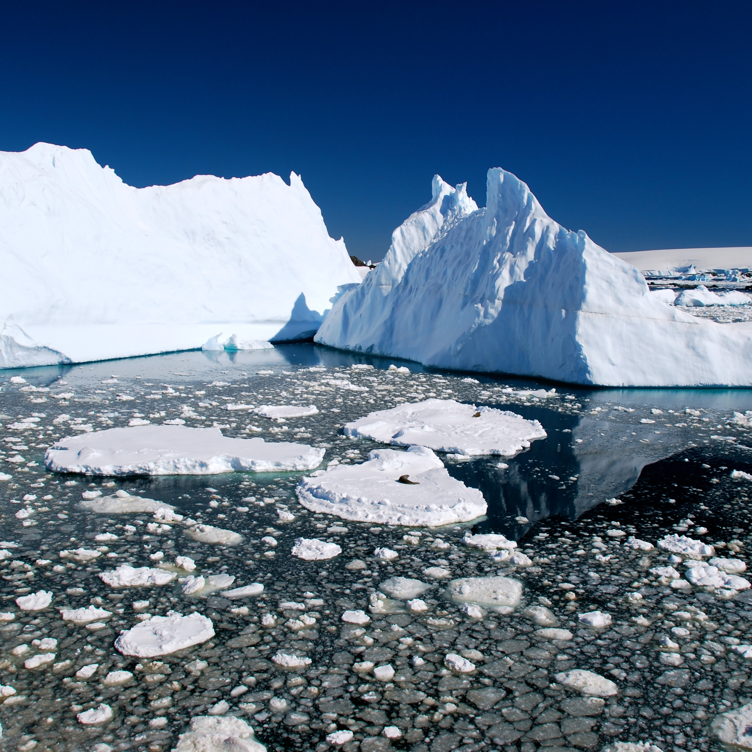 Large iceberg and scattered sea ice floating in dark water under a deep blue sky.