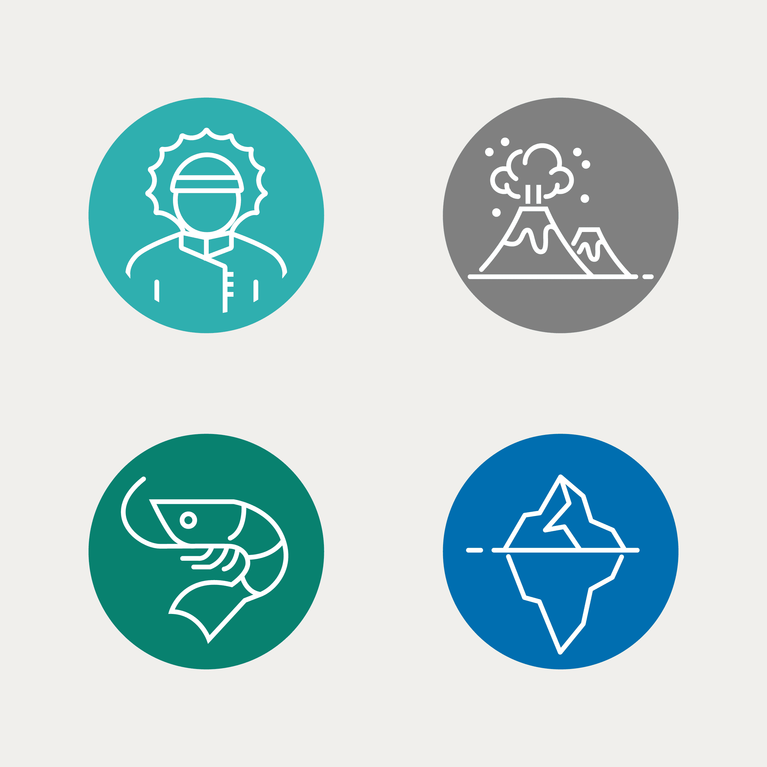Four circular line icons showing a bundled-up person, a volcanic mountain, a shrimp/krill, and an iceberg outline.