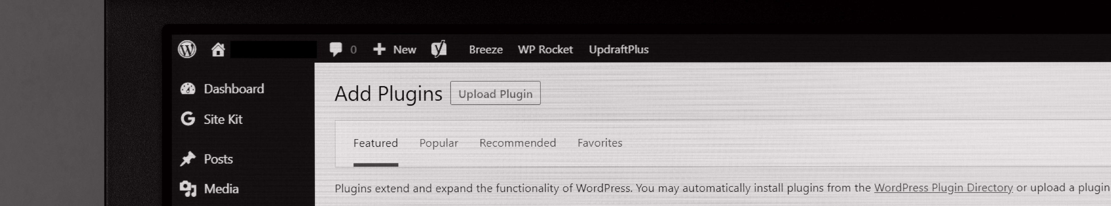 Close up of WordPress CMS plugin page