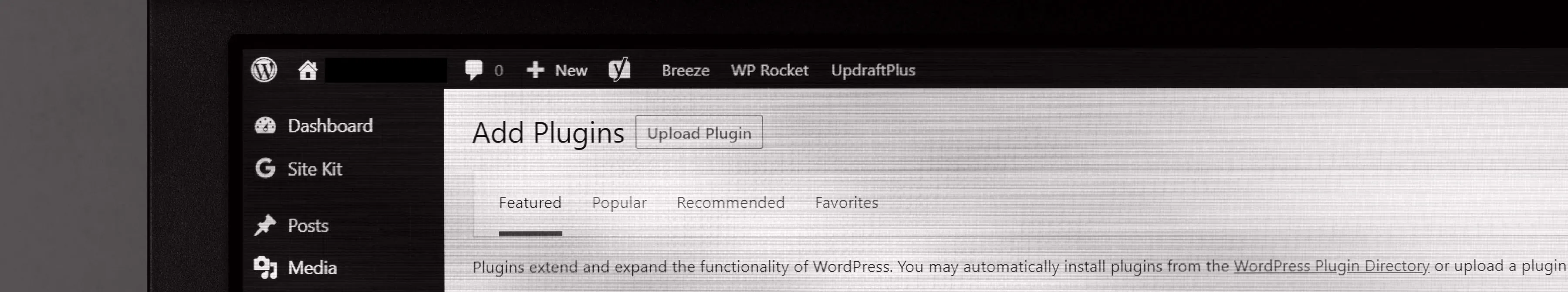 Close up of WordPress CMS plugin page