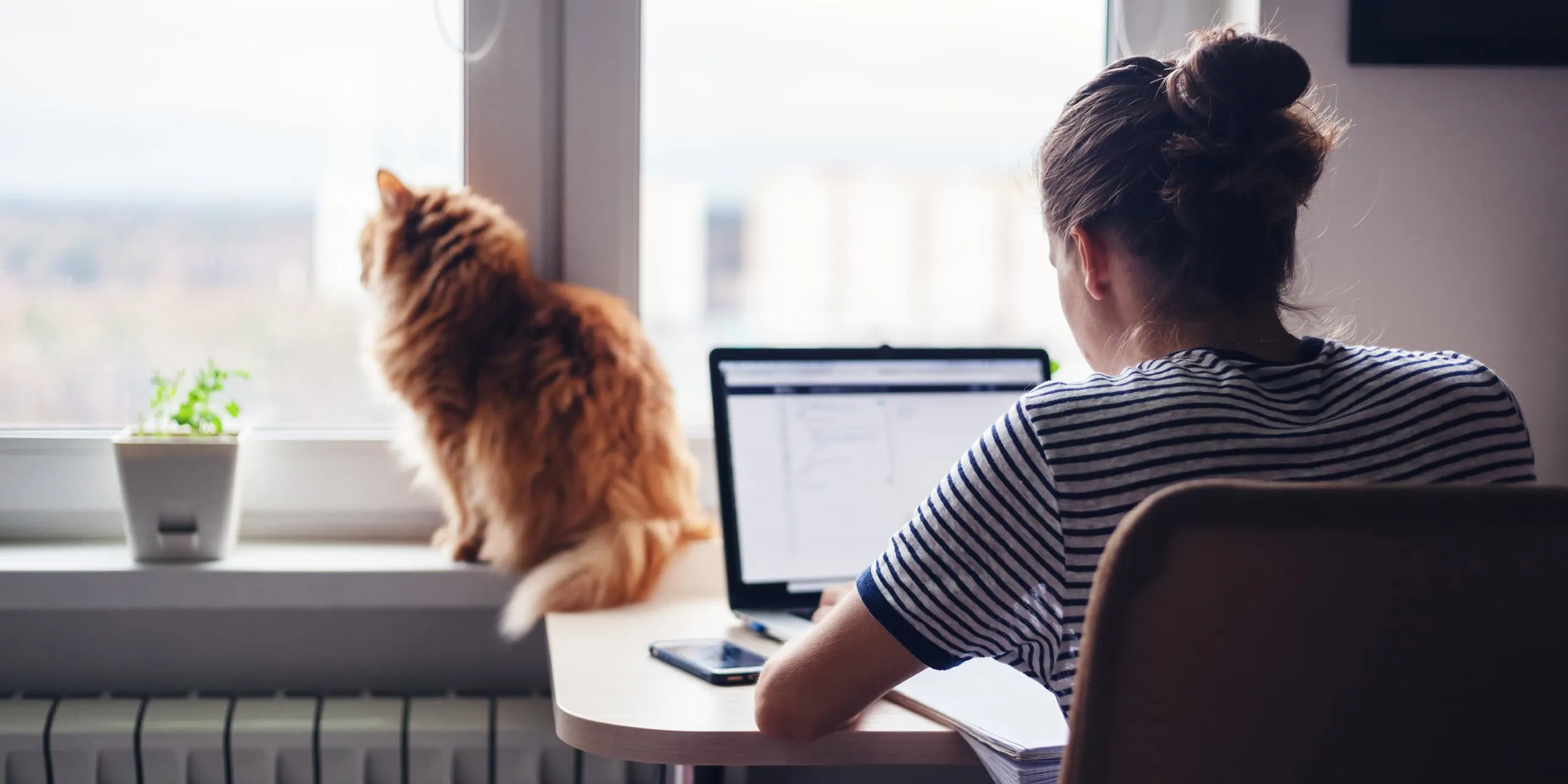 Photography style selected for the Mason's Property brand – woman working from home with a cat